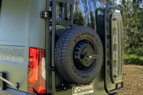 Paradise Oasis rear spare wheel and ladder